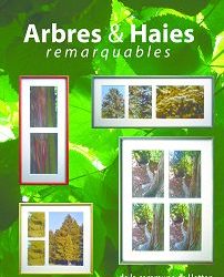 Les arbres et les haies